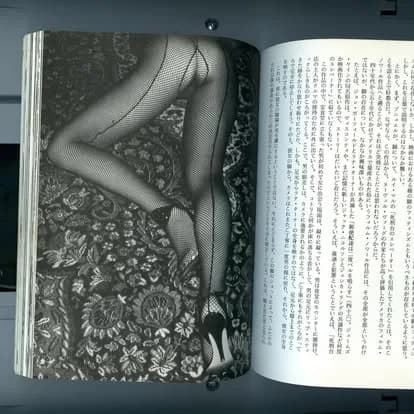 Editorial fishnet