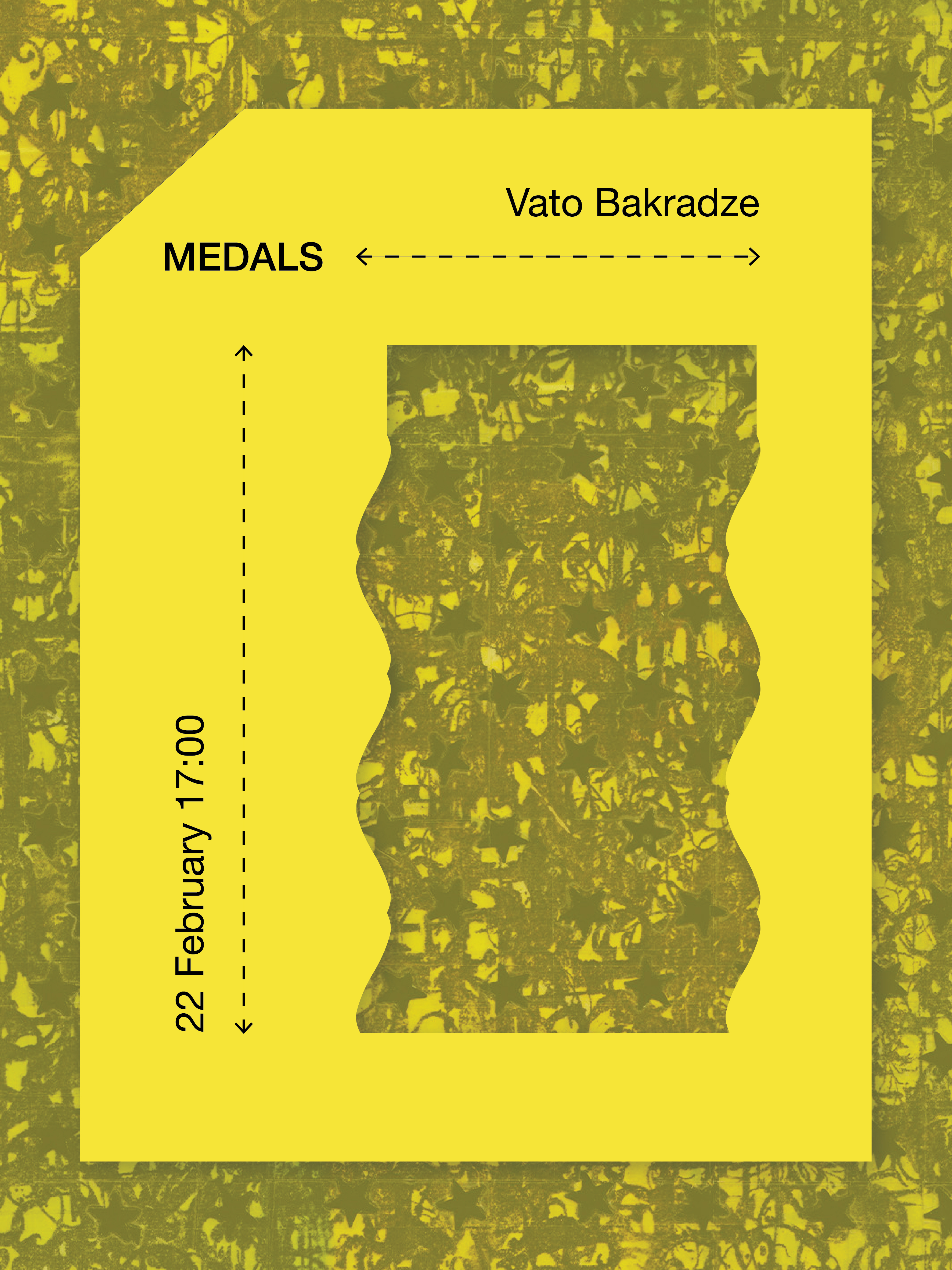 MEDALS — Vato Bakradze